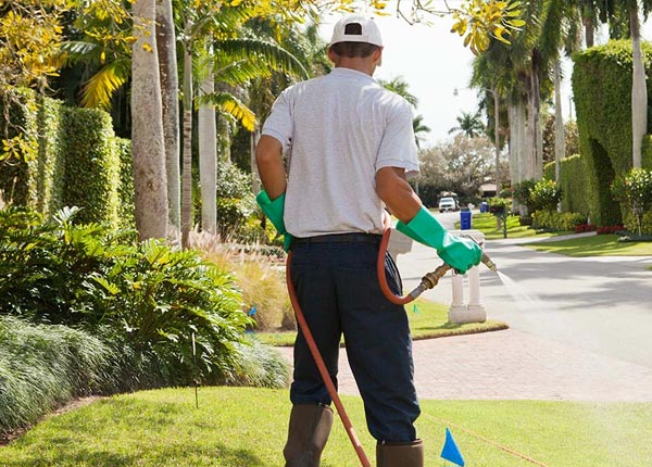 About Plevna KS Pest Control
